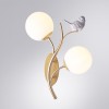 Бра Arte Lamp Camomilla A9712AP-2SG фото 3 &mdash; svetrussia.ru