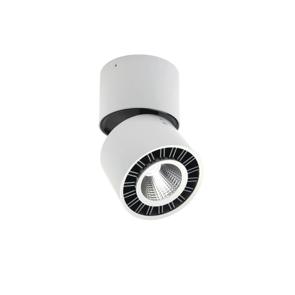 Спот Mantra Columbretes C0085 фото 1 &mdash; svetrussia.ru