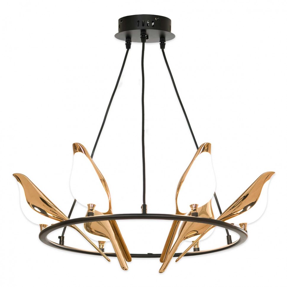 Подвесная люстра Lussole LOFT Jasper LSP-8641 фото 1 &mdash; svetrussia.ru