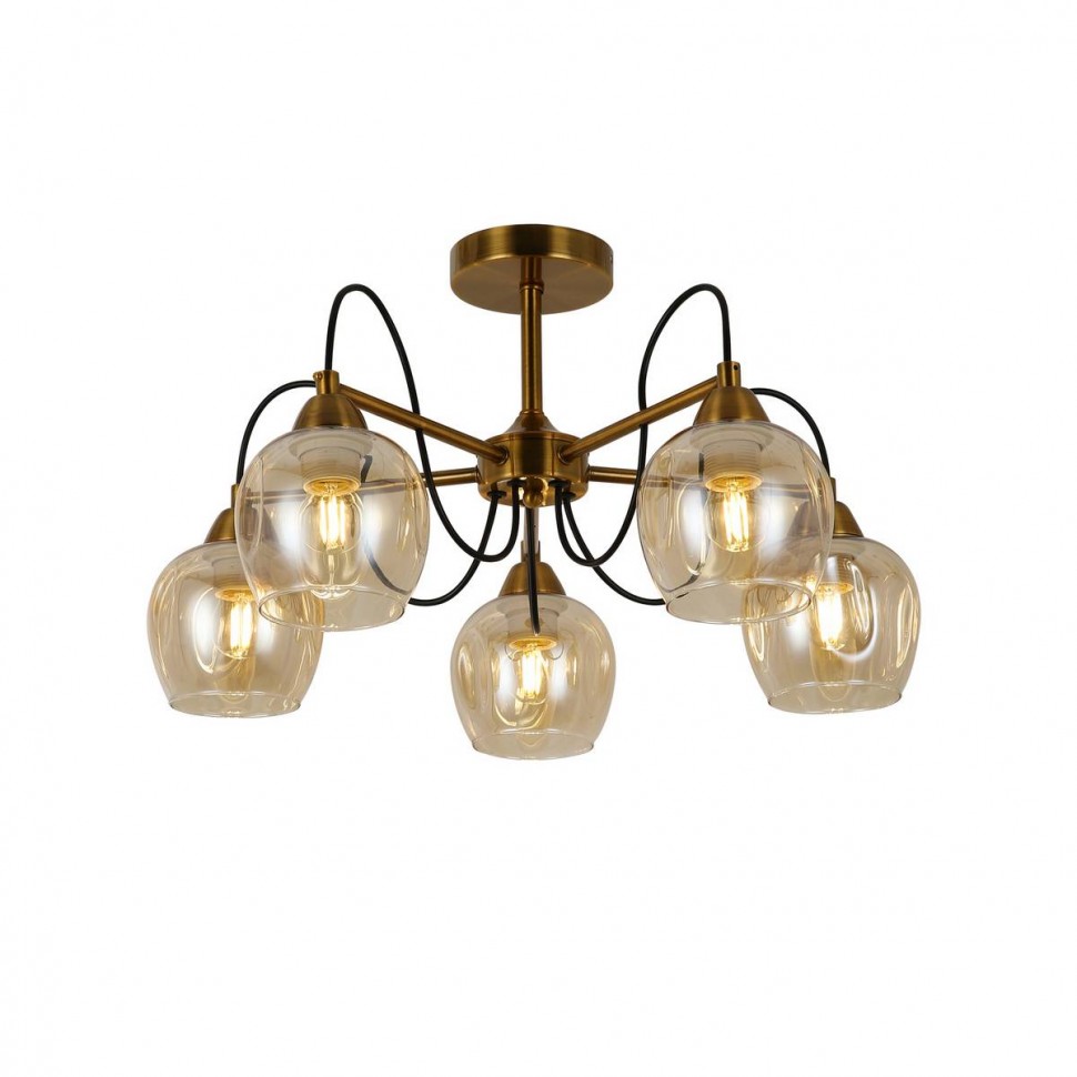 Потолочная люстра Evoluce Acro SLE110002-05 фото 1 &mdash; svetrussia.ru