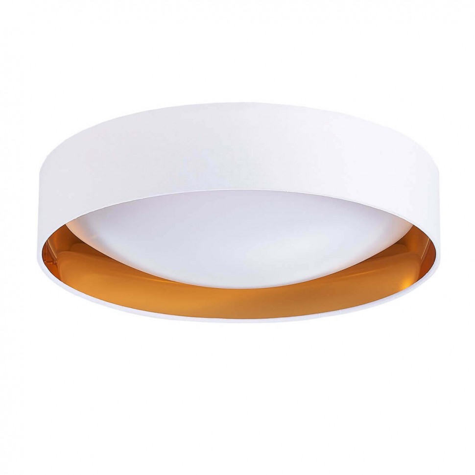 Потолочный светодиодный светильник Evoluce Orbio SLE201122-01 фото 1 &mdash; svetrussia.ru