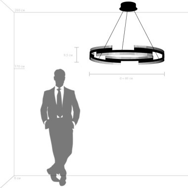 Подвесная светодиодная люстра Lightstar Rotonda 736333 &mdash; svetrussia.ru