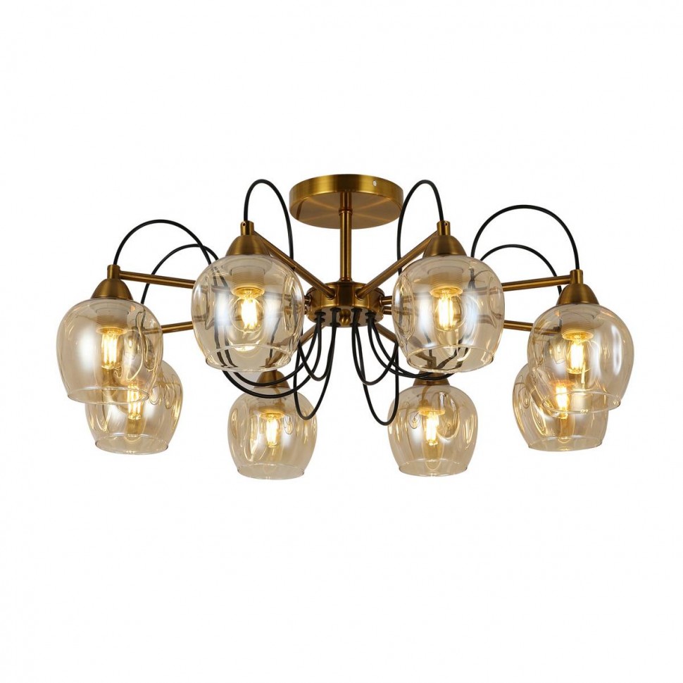 Потолочная люстра Evoluce Acro SLE110002-08 фото 1 &mdash; svetrussia.ru