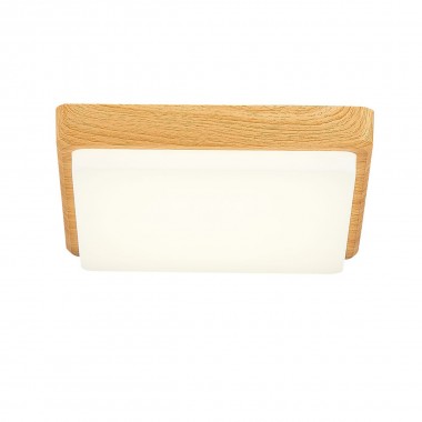 Потолочный светодиодный светильник Evoluce Taddio SLE200202-01 &mdash; svetrussia.ru