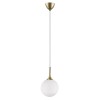 Подвесной светильник Lightstar Globo 813022 фото 1 &mdash; svetrussia.ru