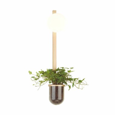 Настенный светильник Odeon Light Walli Flower 4682/1WB &mdash; svetrussia.ru