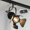 Трековый светильник однофазный Lussole LOFT Track Lights LSP-9838-TAB фото 1 &mdash; svetrussia.ru