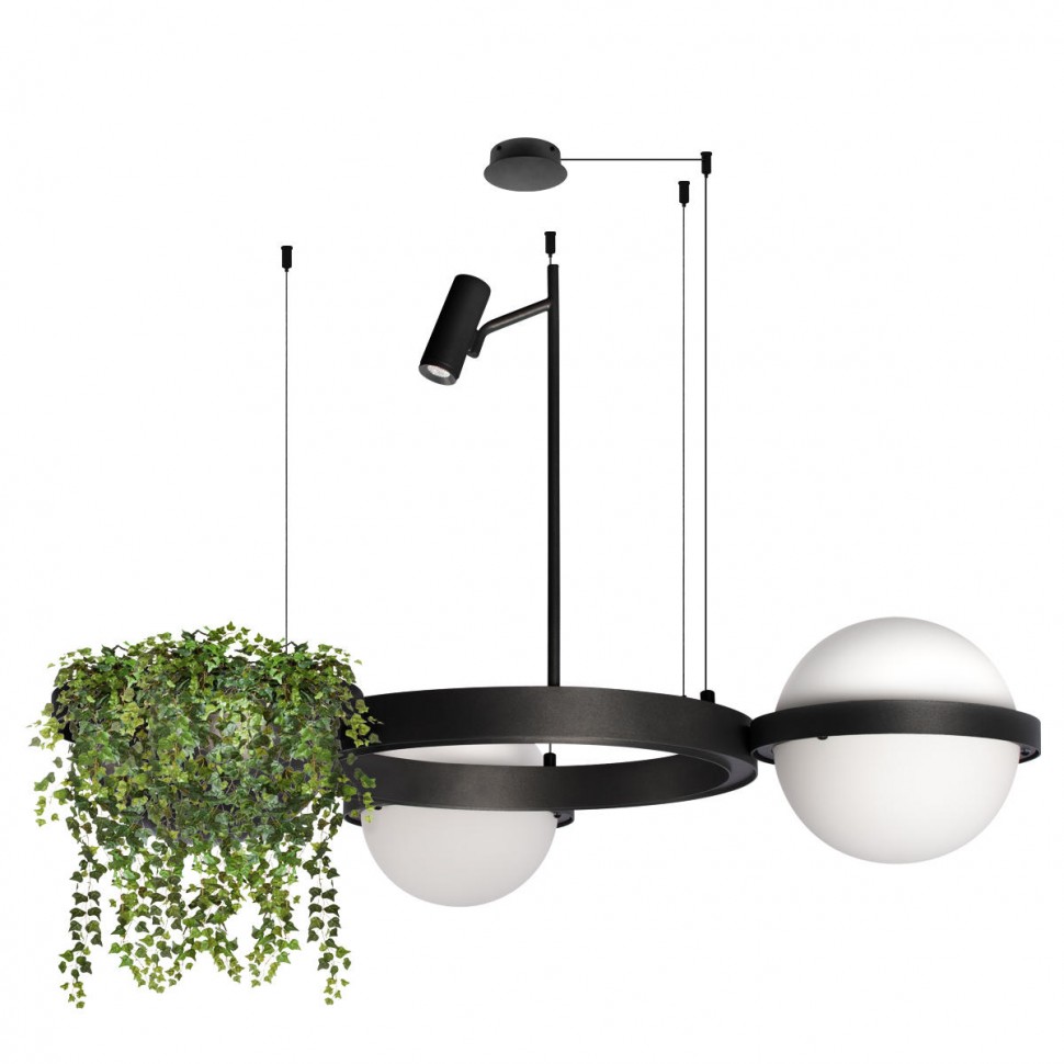 Подвесной светодиодный светильник Loft IT Jardin 10121/2 фото 1 &mdash; svetrussia.ru