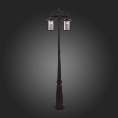 Садово-парковый светильник ST Luce Lastero SL080.425.02 &mdash; svetrussia.ru