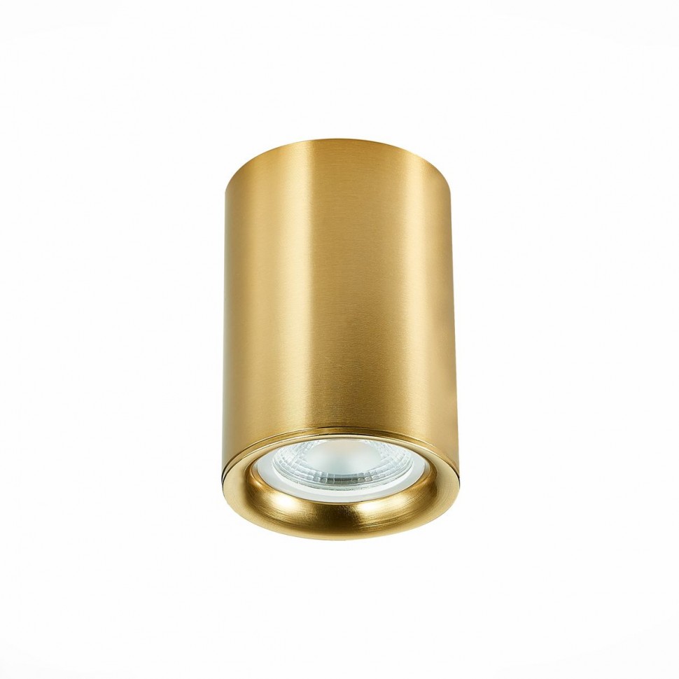 Потолочный светильник ST Luce ST114.207.01 фото 1 &mdash; svetrussia.ru