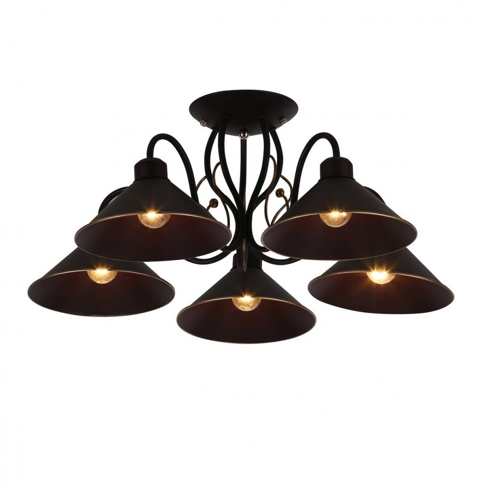 Потолочная люстра Evoluce Ciolla SLE120402-05 фото 1 &mdash; svetrussia.ru