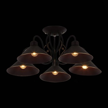 Потолочная люстра Evoluce Ciolla SLE120402-05 &mdash; svetrussia.ru