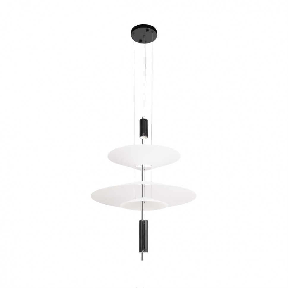 Подвесной светильник Loft IT Skylar 10244/B Black фото 1 &mdash; svetrussia.ru