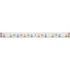 Светодиодная лента Maytoni 14,4W/m 60LED/m 5050SMD дневной белый + RGB 5M 201133 фото 1 &mdash; svetrussia.ru