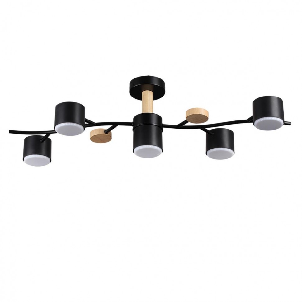 Потолочная люстра Lumion Comfi Crypto 8194/5C фото 1 &mdash; svetrussia.ru