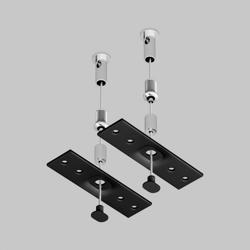 Подвес Maytoni Technical Exility Busbur TRA034SW-2B фото 1 &mdash; svetrussia.ru