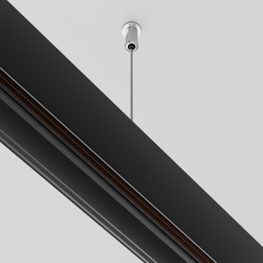 Подвес Maytoni Technical Exility Busbur TRA034SW-2B &mdash; svetrussia.ru