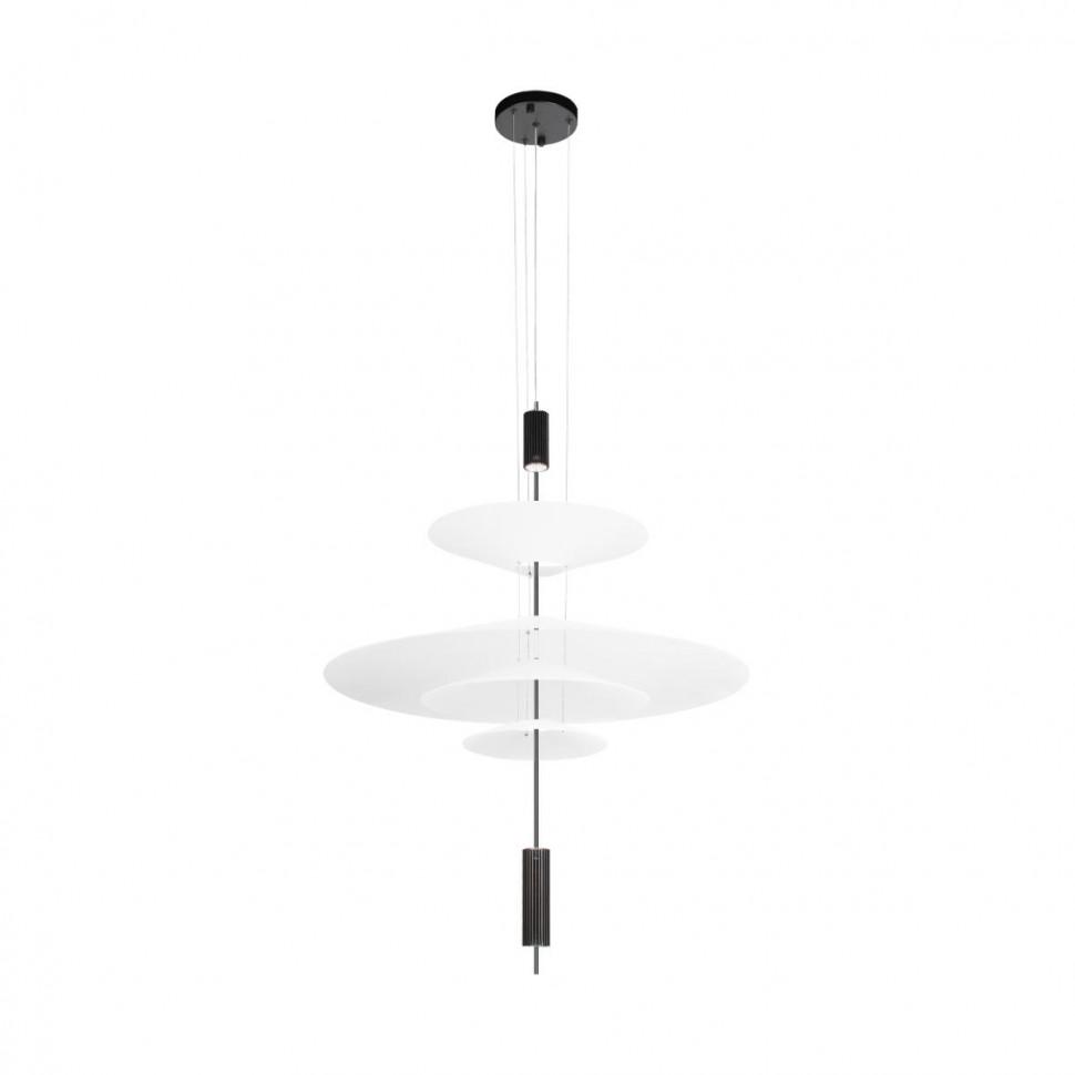 Подвесной светильник Loft IT Skylar 10244/C Black фото 1 &mdash; svetrussia.ru