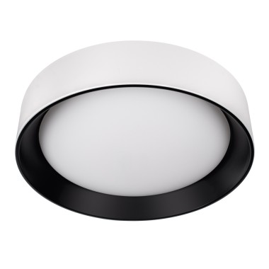 Потолочный светильник Loft it Coin 10202 WB &mdash; svetrussia.ru