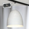 Трековый светильник однофазный Lussole LOFT Track Lights LSP-9891-TAB фото 1 &mdash; svetrussia.ru