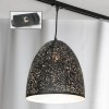 Трековый светильник однофазный Lussole LOFT Track Lights LSP-9892-TAB фото 1 &mdash; svetrussia.ru