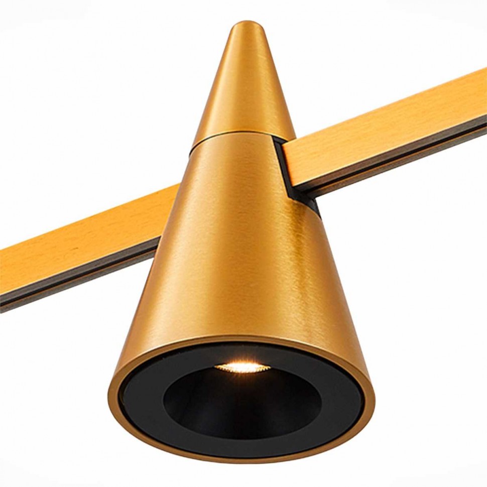 Трековый светильник ST LUCE ST813.246.05 фото 1 &mdash; svetrussia.ru