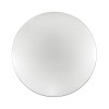 Настенно-потолочный светодиодный светильник Sonex Pale Abasi 2052/DL фото 1 &mdash; svetrussia.ru