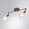 Спот Arte Lamp Biham A3184PL-2AB фото 4 &mdash; svetrussia.ru