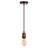 Подвесной светильник Loft IT Holder Loft1153 фото 2 &mdash; svetrussia.ru