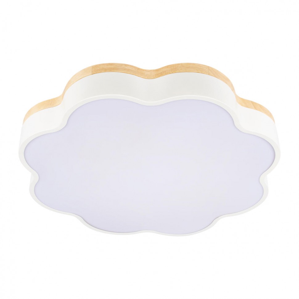 Потолочный светодиодный светильник Loft IT Axel 10225/36 White фото 1 &mdash; svetrussia.ru