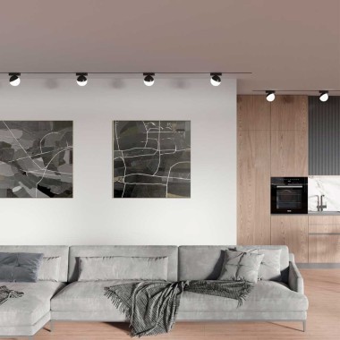 Трековый светильник для низковольтного шинопровода Novotech SMAL 359262 &mdash; svetrussia.ru