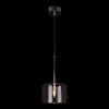 Подвесной светильник Loft IT Spillray 10232/A Smoke фото 2 &mdash; svetrussia.ru