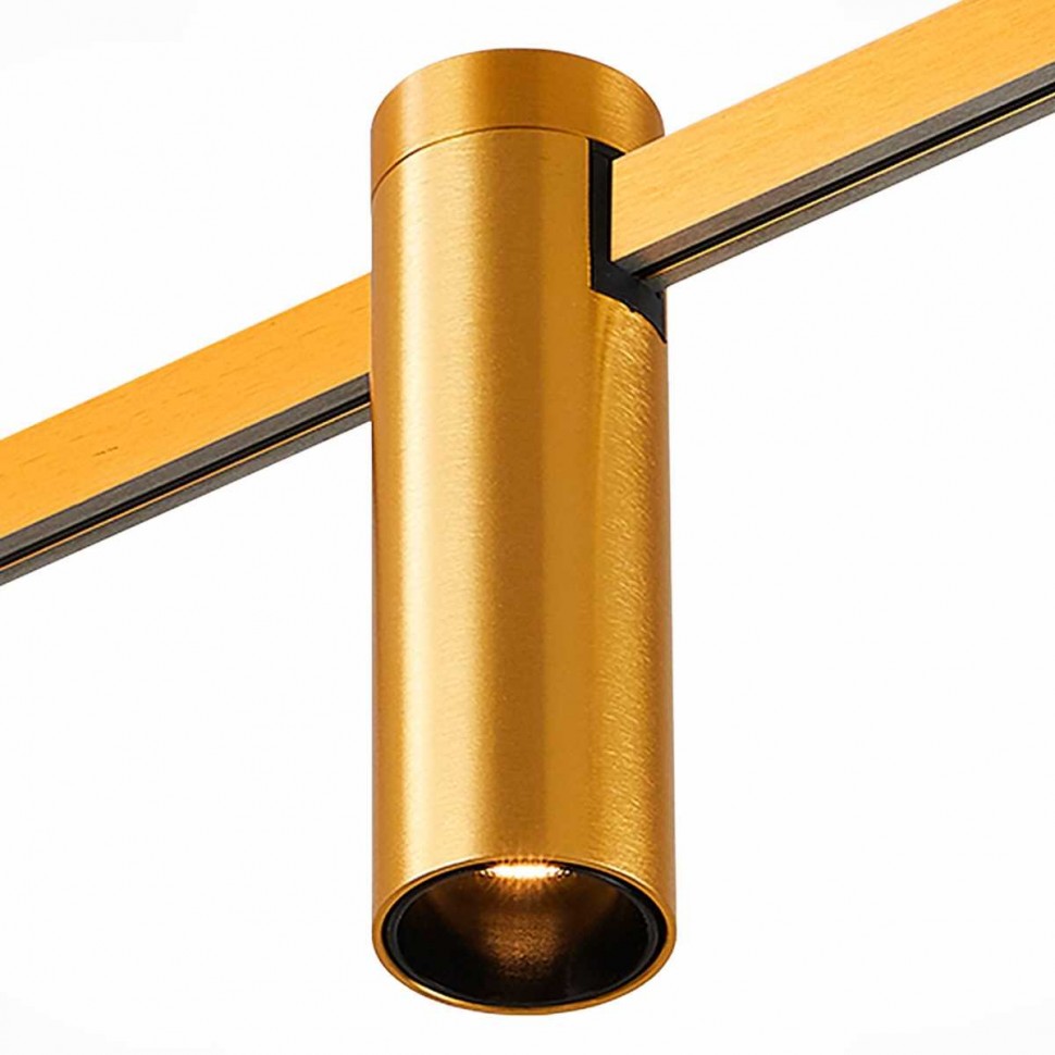 Трековый светильник ST LUCE ST810.246.05 фото 1 &mdash; svetrussia.ru