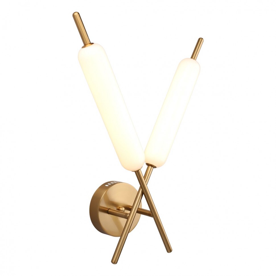 Настенный светильник Aployt Carla APL.010.01.16 фото 1 &mdash; svetrussia.ru