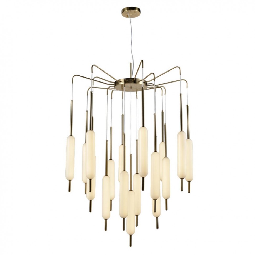 Подвесная светодионая люстра Aployt Carla APL.010.03.136 фото 1 &mdash; svetrussia.ru