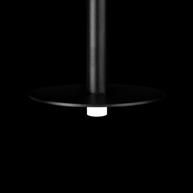 Подвесной светодиодный светильник Loft IT Reed 10358/830 Disk &mdash; svetrussia.ru