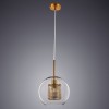 Подвесной светильник Arte Lamp Manchester A7630SP-1AB фото 2 &mdash; svetrussia.ru