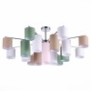 Потолочная люстра Evoluce Essenza SLE300602-17 фото 1 &mdash; svetrussia.ru