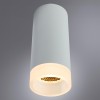 Потолочный светильник Arte Lamp Ogma A5556PL-1WH фото 4 &mdash; svetrussia.ru