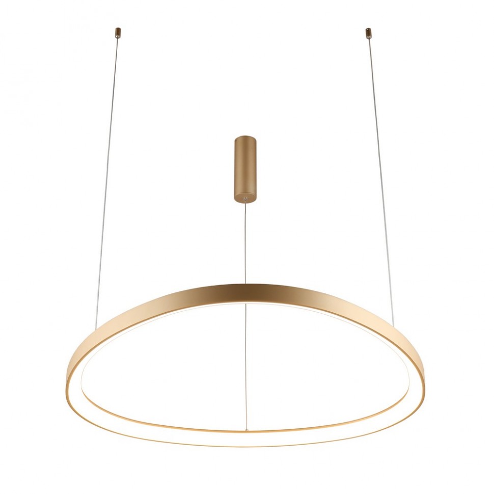 Подвесной светильник Aployt Zula APL.022.03.60 фото 1 &mdash; svetrussia.ru