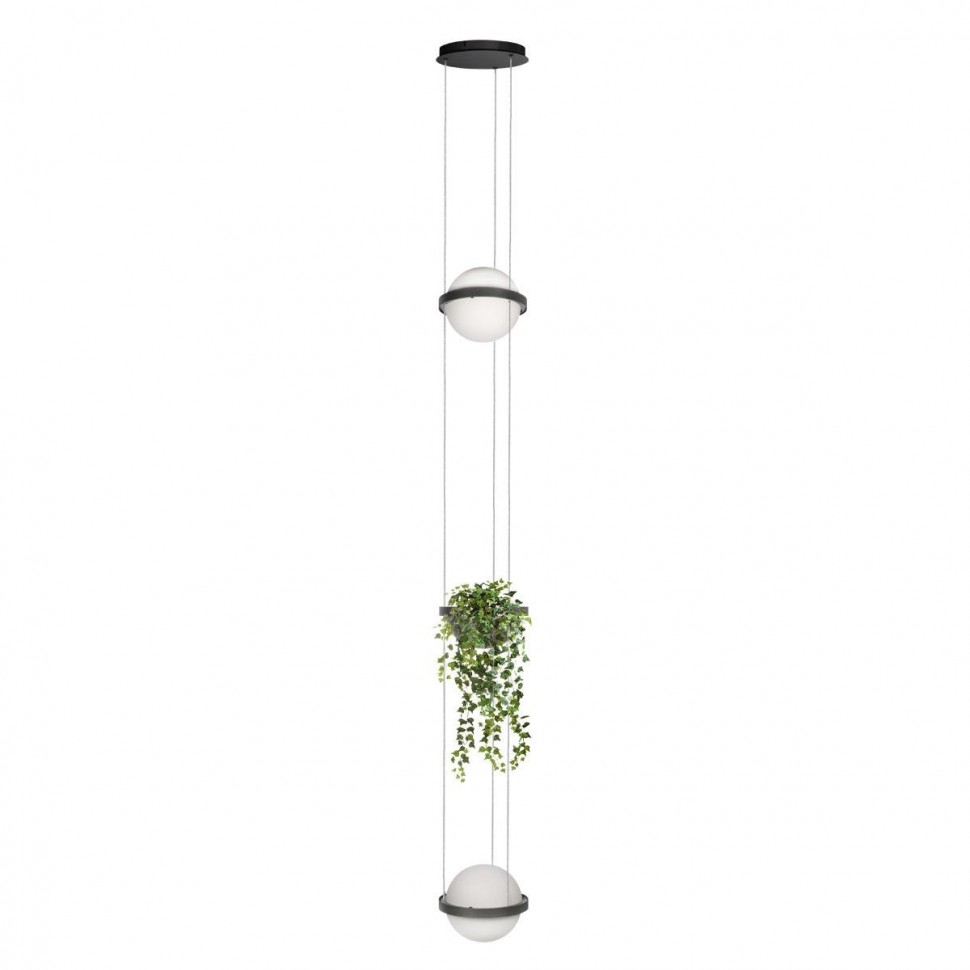 Подвесной светодиодный светильник Loft IT Jardin 10121/2P Dark grey фото 1 &mdash; svetrussia.ru