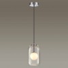 Подвесной светильник Odeon Light Pendant Lostar 4953/1 фото 3 &mdash; svetrussia.ru