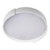 Потолочный светодиодный светильник Loft IT Coin 10200 White фото 2 &mdash; svetrussia.ru