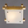 Потолочный светильник Arte Lamp 94 A6460PL-1BR фото 2 &mdash; svetrussia.ru