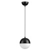 Подвесной светильник Odeon Light Pendant Pinga 4958/1 фото 1 &mdash; svetrussia.ru