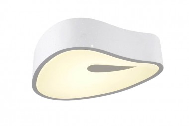 Потолочный светодиодный светильник Omnilux OML-45507-25 &mdash; svetrussia.ru