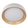 Потолочный светодиодный светильник Loft IT Coin 10202 White фото 2 &mdash; svetrussia.ru