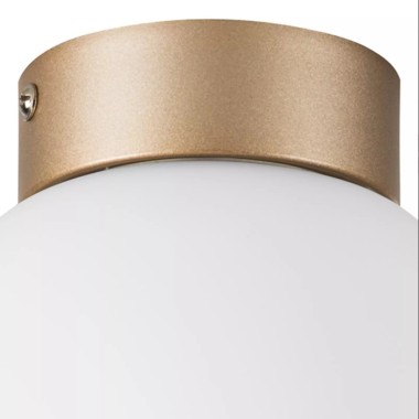 Настенно-потолочный светильник Lightstar Globo 812013 &mdash; svetrussia.ru