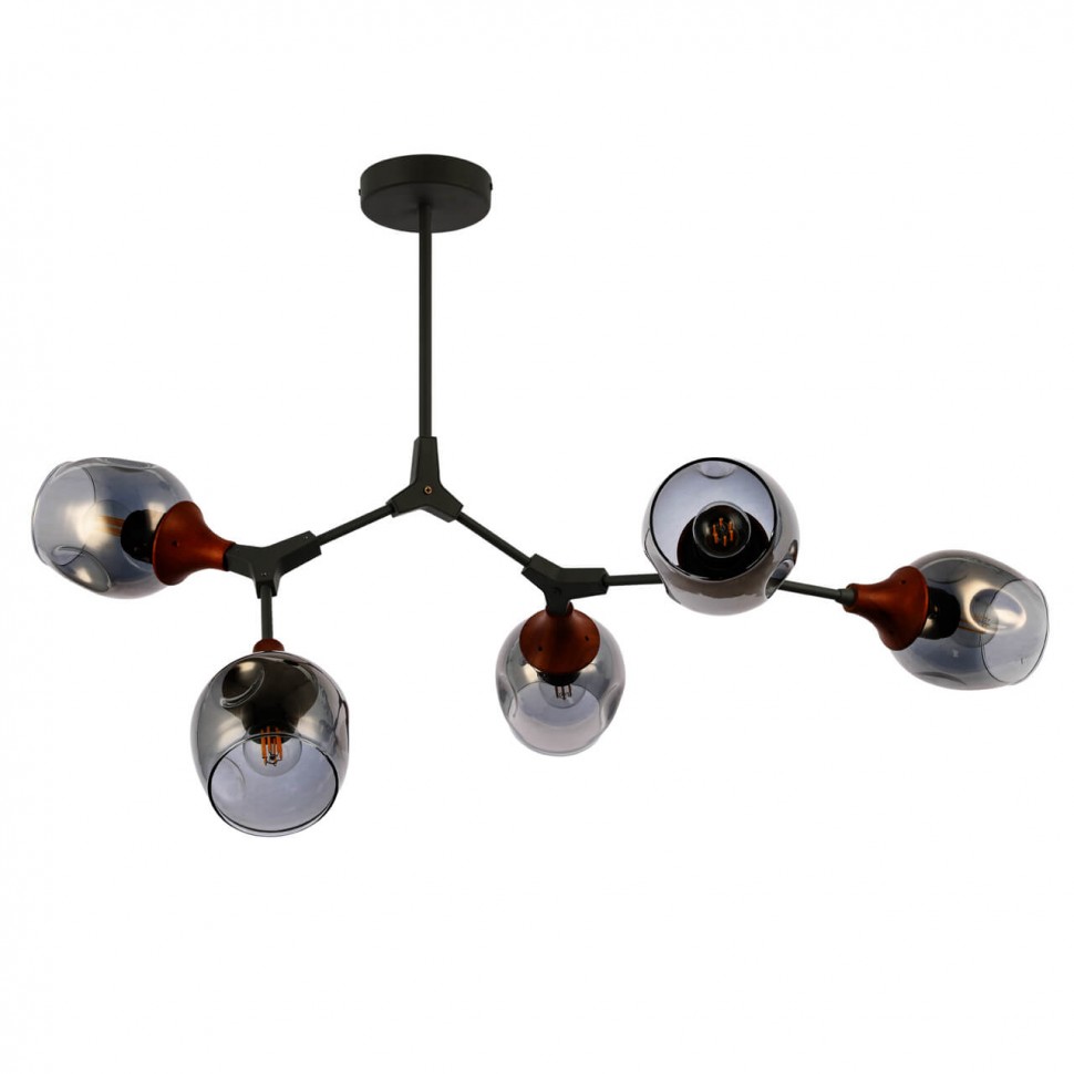 Потолочная люстра Evoluce Ciotolla SLE113402-05 фото 1 &mdash; svetrussia.ru