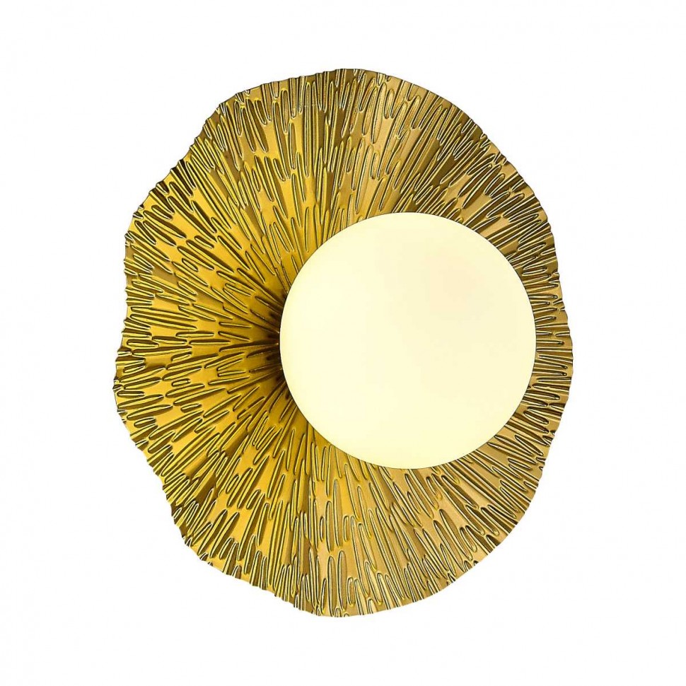 Настенный светильник Evoluce Lorea SLE1196-301-01 фото 1 &mdash; svetrussia.ru